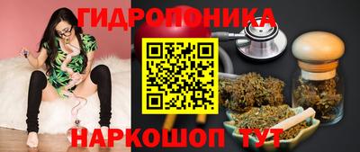 эйфоретик Аша