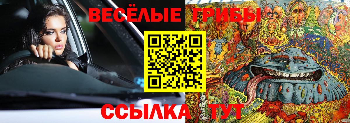 Псилоцибиновые грибы Psilocybe Вичуга